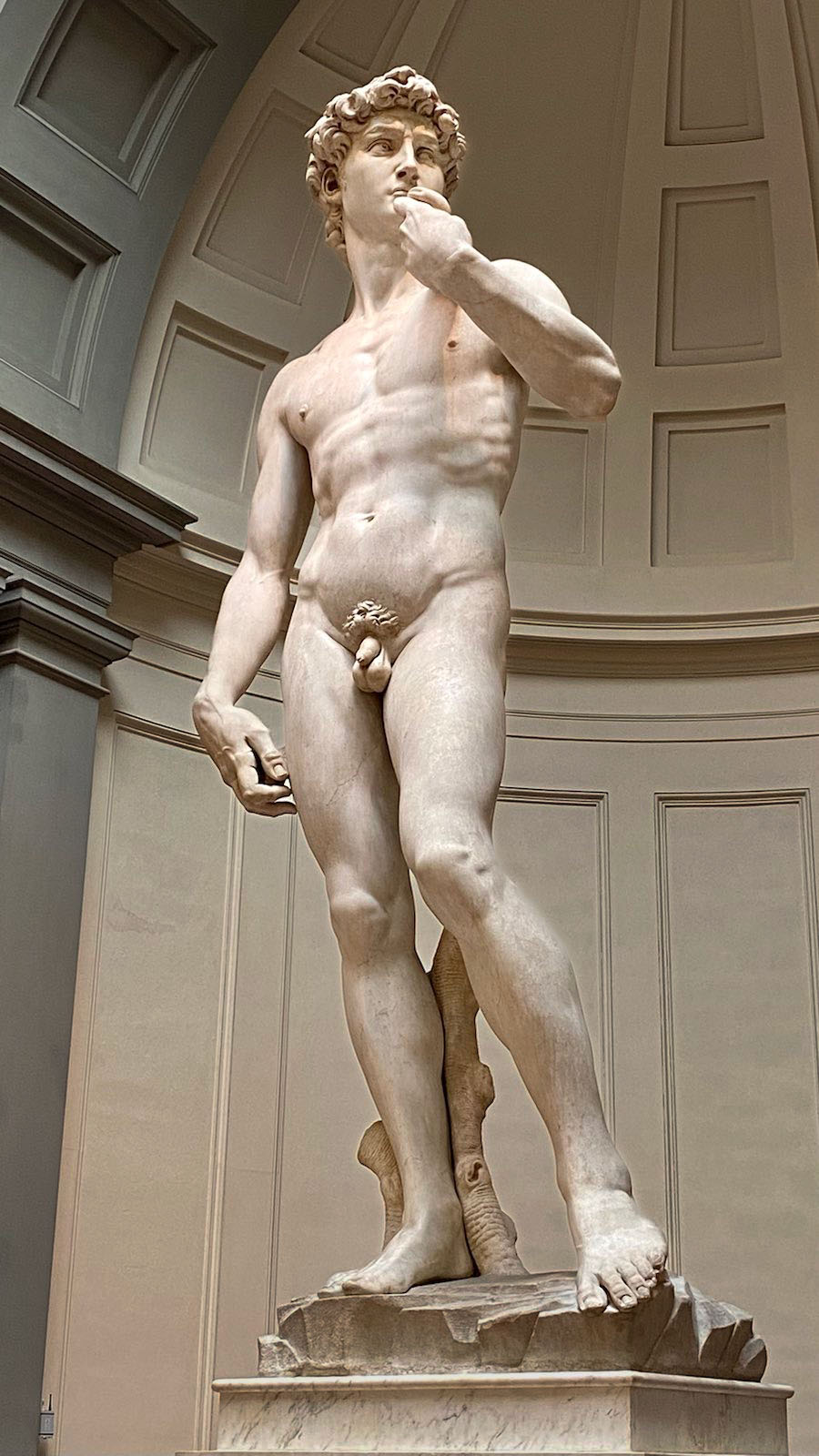 Der David von Michelangelo in der Galleria dell'Accademia in Florenz