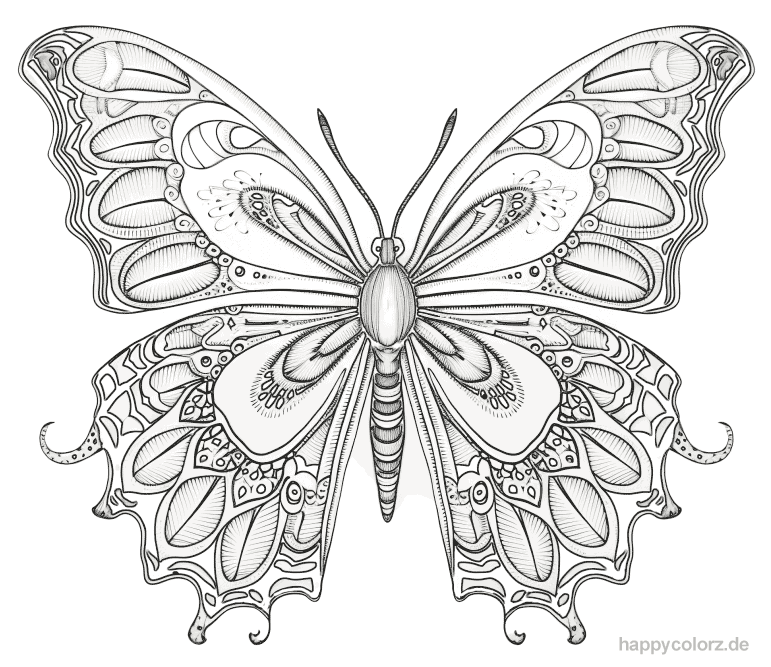 Mandala Schmetterling echt Ausmalbild