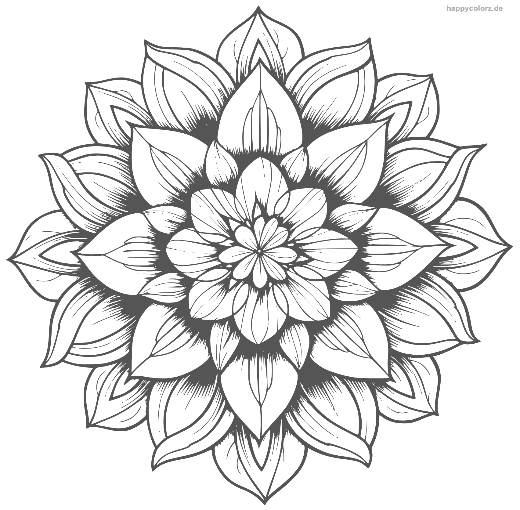 Blumen Mandala