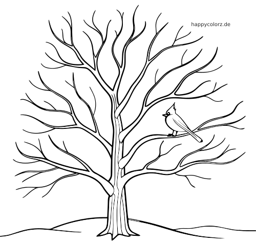 Ein kahler Winterbaum steht auf verschneitem Boden, auf einem Ast sitzt ein kleiner Kardinal.