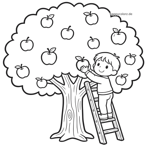 Ein Kind steht auf einer Holzleiter und pflückt einen Apfel von einem großen Apfelbaum mit vielen Früchten.