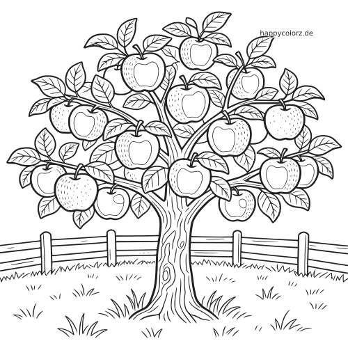 Schwarz-weißes Ausmalbild mit einem detailreichen Apfelbaum voller Äpfel, vielen Blättern, Gras und einem Zaun im Obstgarten.