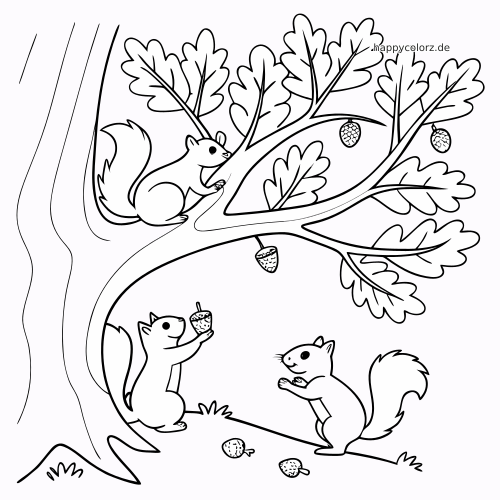 Einfaches Schwarz-Weiß-Bild eines Eichenbaums mit drei Eichhörnchen, die zwischen Blättern und Eicheln klettern und sitzen.