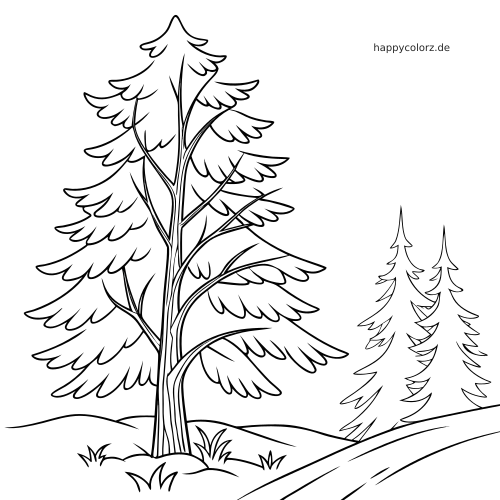 Einfache Linienzeichnung einer verschneiten Kiefer in einer Winterlandschaft mit zwei kleineren Nadelbäumen und sanften Hügeln.