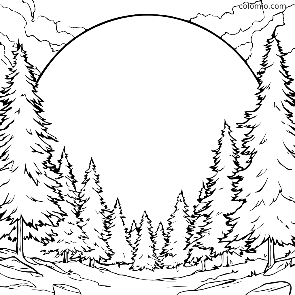 Eine schwarz-weiße Umrisszeichnung einer beruhigenden Waldlandschaft mit hohen Bäumen und einem großen kreisförmigen Himmelbereich zum Ausmalen.