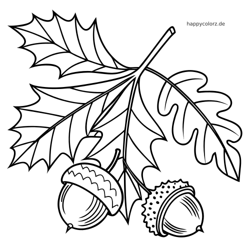 Nahaufnahme einer schwarz-weißen Umrisszeichnung mit überlappenden Herbstblättern und zwei darunter hängenden Eicheln.