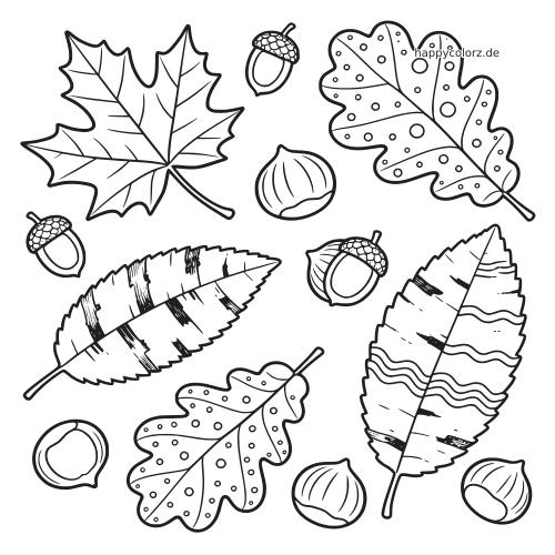 Eine detailreiche Anordnung aus verschiedenen Herbstblättern, Eicheln und Kastanien als schwarz-weiße Umrisszeichnung.