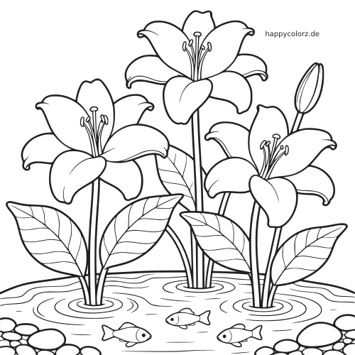 Schwarz-weiße Zeichnung von hohen Lilien mit großen Blüten und Blättern in einem Teich mit kleinen Fischen, Steinen und Wasserwellen.