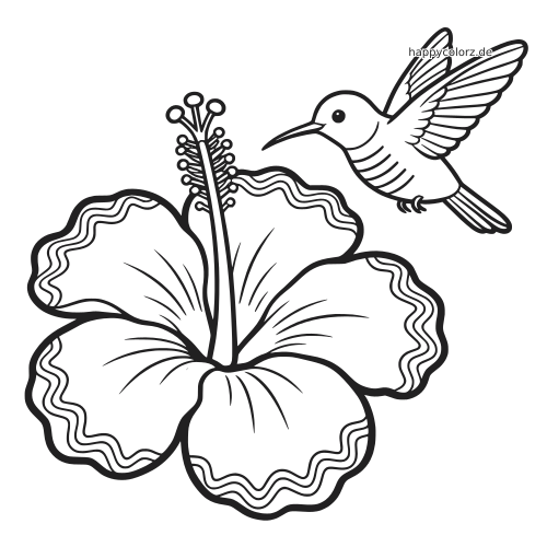 Einfache Linienzeichnung einer tropischen Hibiskusblüte mit einem schwebenden Kolibri neben der Blüte.