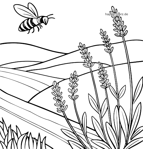 Schlichte Linienzeichnung eines Lavendelfelds in der Provence mit sanften Hügeln, hohen Lavendelstängeln und einer fliegenden Biene.