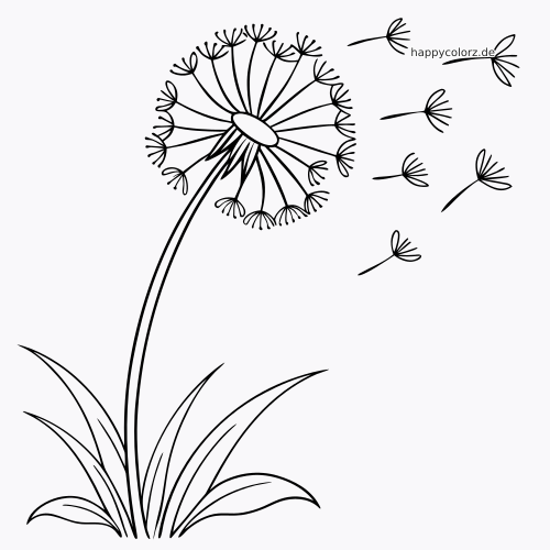 Einfache Linienzeichnung einer Pusteblume mit mehreren wegfliegenden Samen und langen Blättern am unteren Stängel.