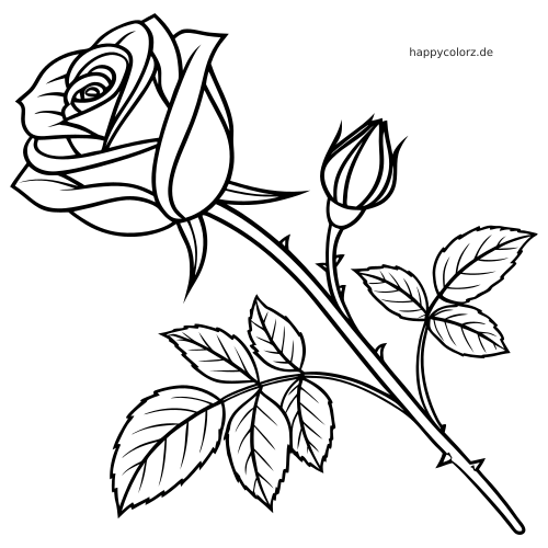 Eine Rose an einem langen dornigen Stiel mit mehreren Blättern und einer geschlossenen Knospe als einfache Umrisszeichnung.