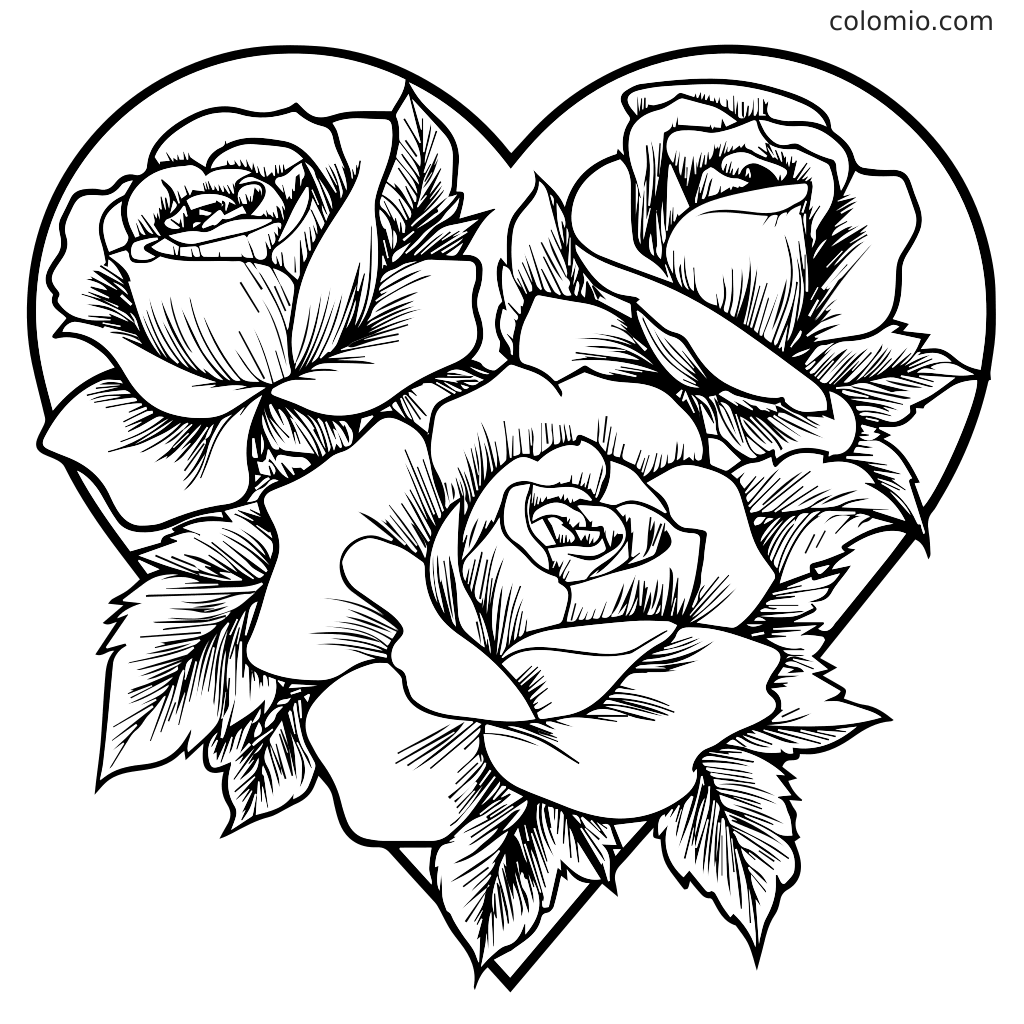 Ausmalbild mit drei detaillierten Rosen in Herzform angeordnet.