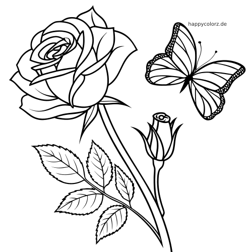Schwarz-weiße Linienzeichnung einer blühenden Rose mit Blättern, einer Rosenknospe und einem Schmetterling neben den Blütenblättern.