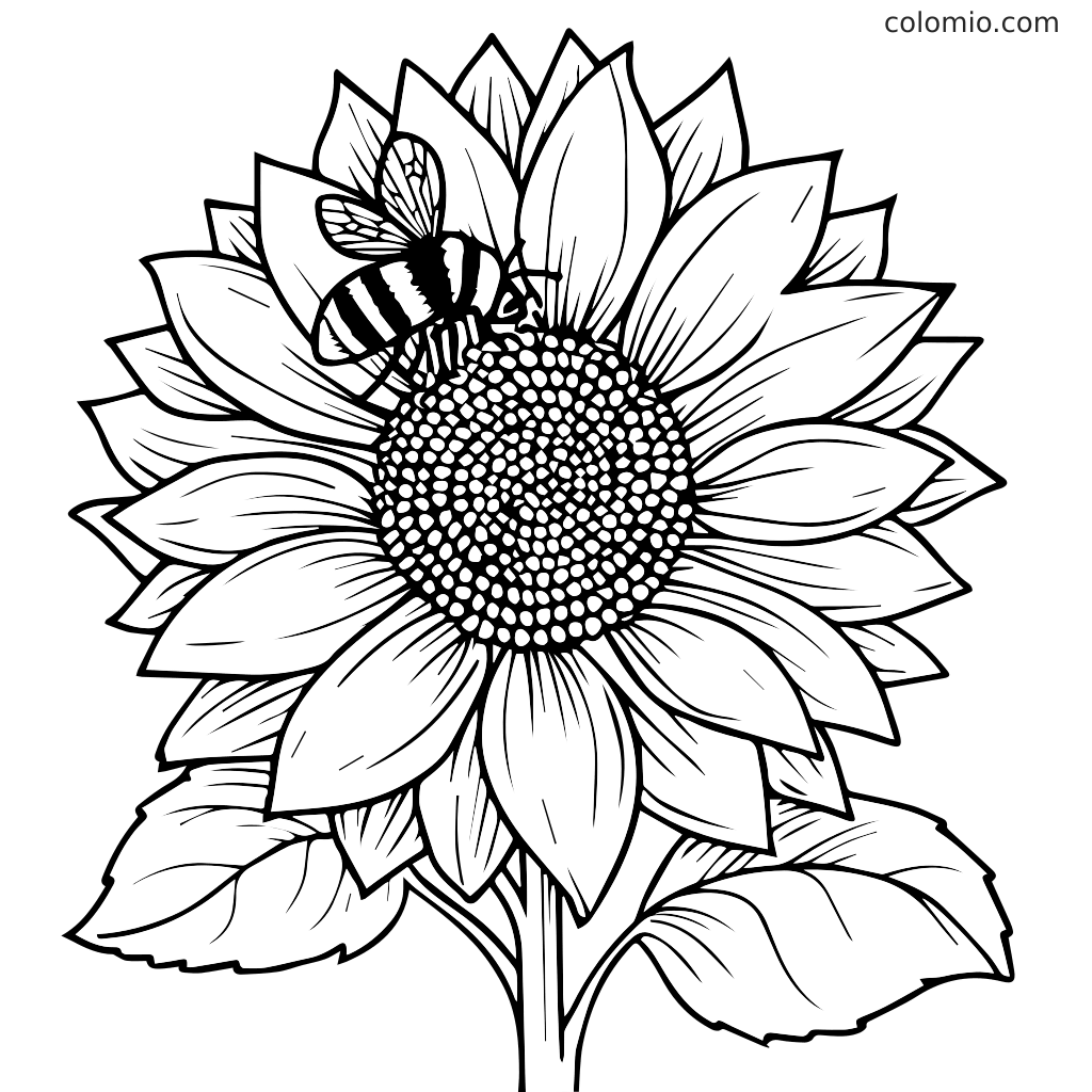 Ein detailliertes Ausmalbild mit einer Biene, die auf einer Sonnenblume mit großen Blütenblättern und Samen sitzt.