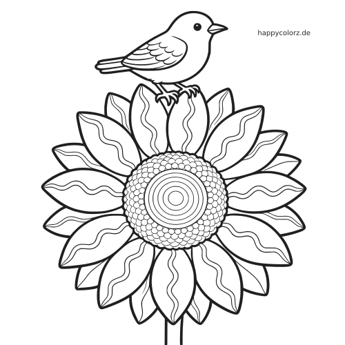 Ein kleiner Vogel sitzt oben auf einer großen Sonnenblume in Nahansicht mit vielen Blütenblättern und einfachen Zierdetails.