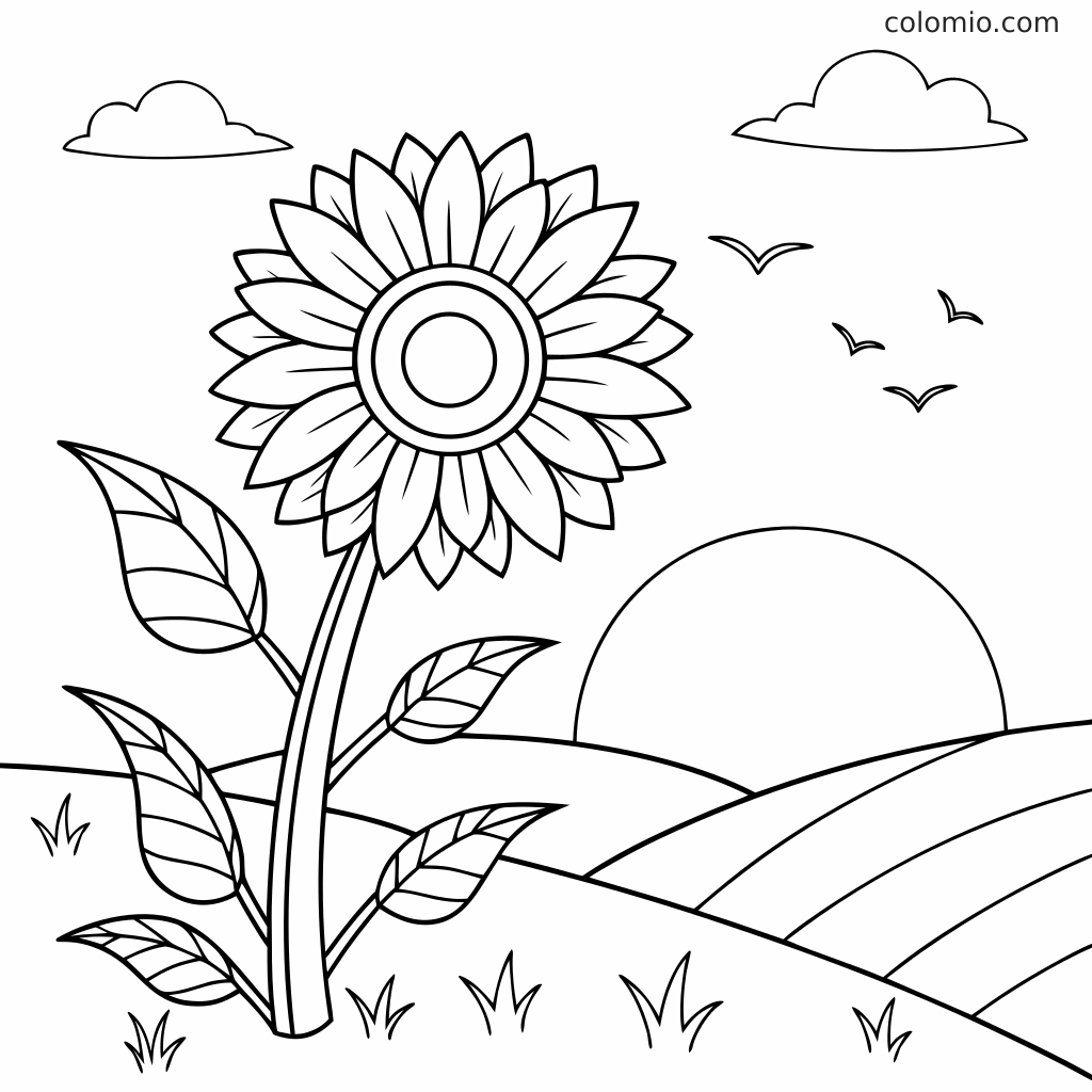 Eine große Sonnenblumen-Malseite mit Blättern, sanften Hügeln, Wolken, Vögeln und einer runden Sonne im Hintergrund.