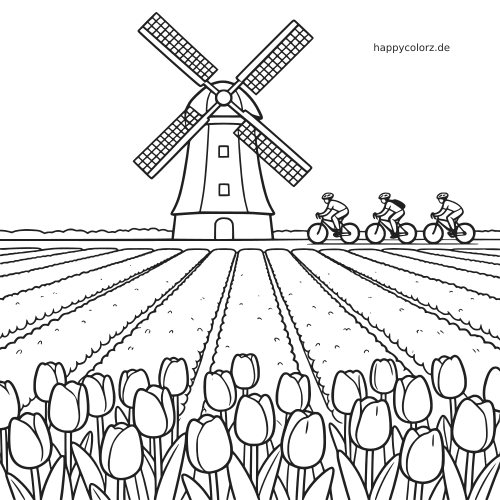Eine Windmühle steht hinter langen Reihen von Tulpen, während drei Radfahrer in einer einfachen Landschaft vorbeifahren.