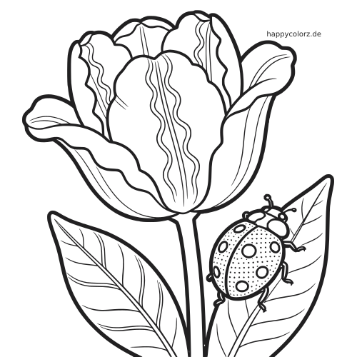 Eine detailreiche Tulpenblüte mit geschichteten Blütenblättern und ein gepunkteter Marienkäfer auf einem großen Blatt neben dem Stiel.