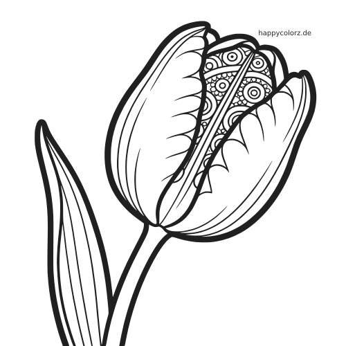 Nahaufnahme einer geschlossenen Tulpenknospe mit gemusterten Blütenblättern und einem langen Blatt als Schwarz-Weiß-Linienzeichnung.