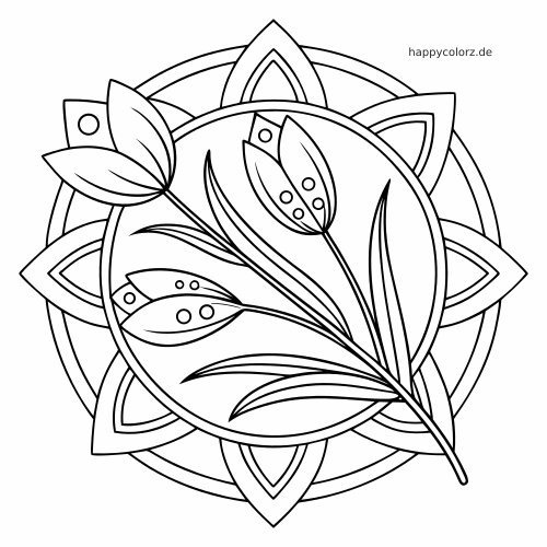 Ein einfaches Tulpen-Mandala mit drei Tulpenblüten und Blättern vor einem kreisförmigen floralen Muster in klaren schwarzen Linien.