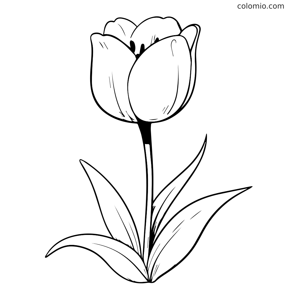 Eine einfache Umrisszeichnung einer Tulpenblume mit Blättern, perfekt zum Ausmalen.