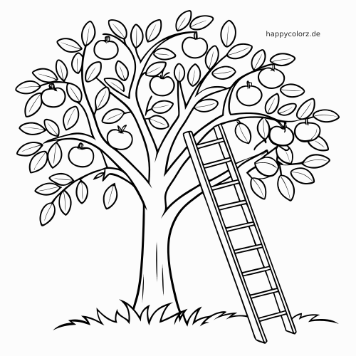 Ein detaillierter Apfelbaum mit vielen Blättern und reifen Äpfeln, daneben eine schräg angelehnte Leiter im klaren Linienstil.