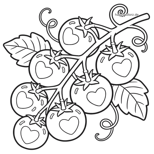 Schwarz-weißes Ausmalbild mit mehreren Tomaten an einer Ranke, jeweils mit Herzform, dazu große Blätter und geschwungene Ranken.