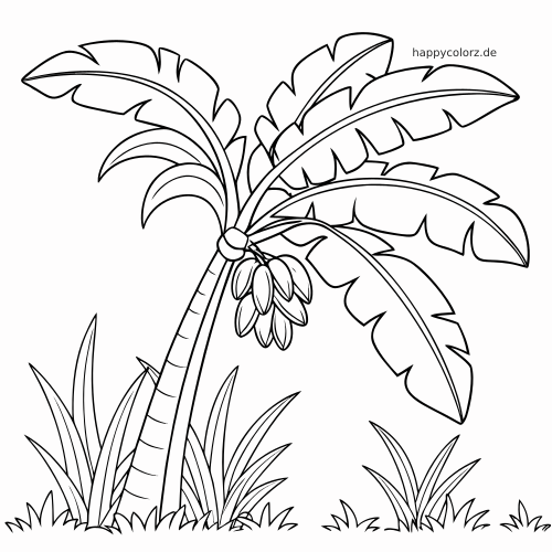 Einfache Strichzeichnung einer schiefen Bananenpalme mit kleiner Bananentraube und Gras in einer Dschungelszene.
