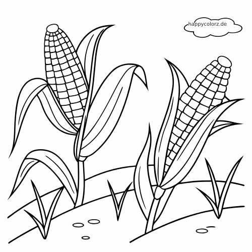 Einfache Schwarz-Weiß-Zeichnung von zwei Maiskolben mit Blättern auf einem Feld mit geschwungenen Reihen und einer kleinen Wolke.