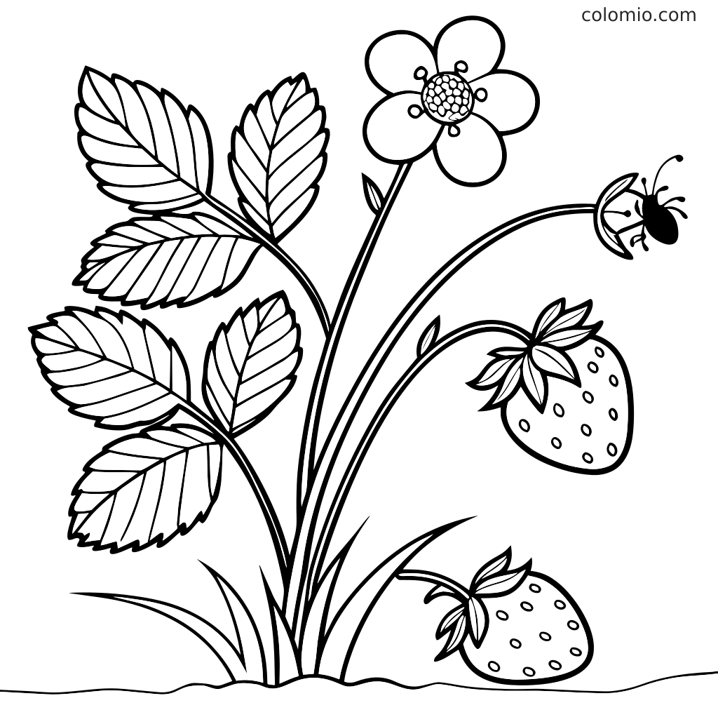 Eine Ausmalseite mit einer Erdbeerpflanze mit Blättern, einer Blüte, zwei Erdbeeren und einem kleinen Insekt an einem gebogenen Stängel.