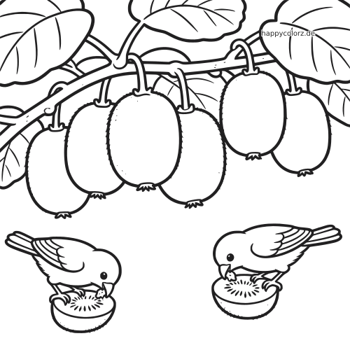 Schwarz-weißes Ausmalbild mit mehreren Kiwis an einer Ranke und zwei kleinen Vögeln, die unten an aufgeschnittenen Kiwis picken.