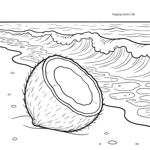 Eine detaillierte halbe Kokosnuss liegt als Schwarz-Weiß-Linienzeichnung am sandigen Strand neben Meereswellen.