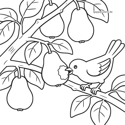 Ein Vogel sitzt auf einem Ast und pickt an einer Birne. Um ihn herum hängen weitere Birnen und Blätter am Baum.