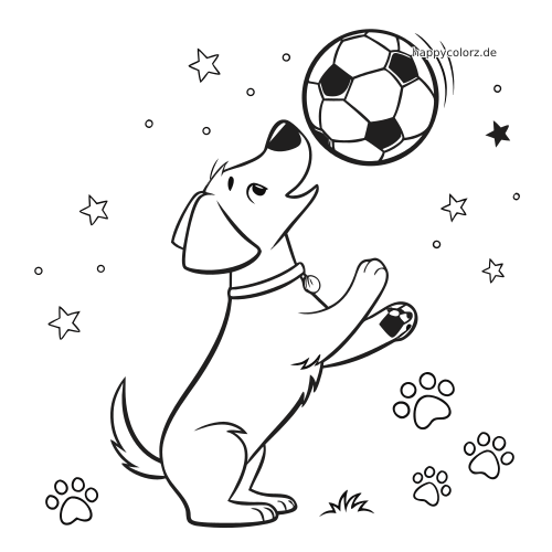 Ein Cartoon-Hund balanciert einen Fußball auf der Nase. Um ihn herum sind Sterne und Pfotenabdrücke zu sehen.