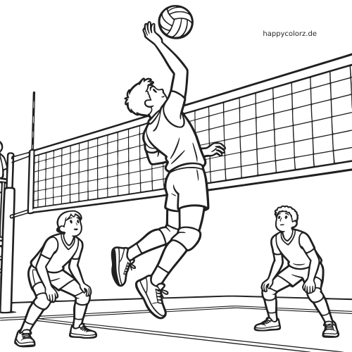 Schwarz-weiße Zeichnung eines Volleyballspielers beim Schmetterball am Netz, mit zwei Mitspielern in Abwehrhaltung auf dem Feld.