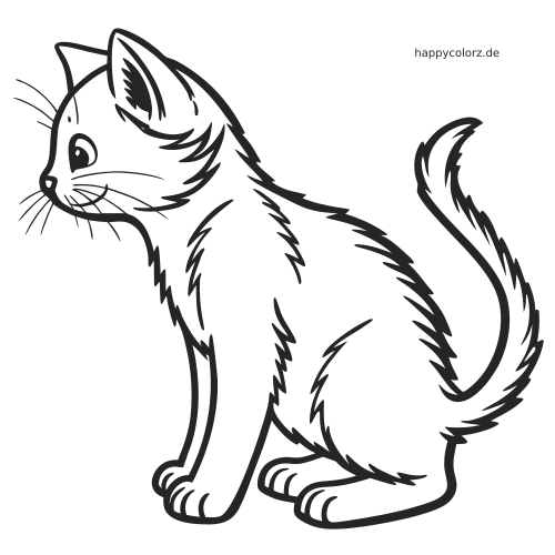 Eine flauschige Hofkatze in Seitenansicht mit hochgebogenem Schwanz als kräftige schwarz-weiße Umrisszeichnung.