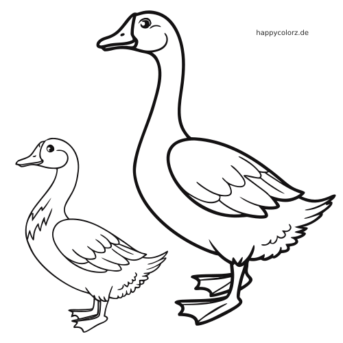 Schwarz-weiße Zeichnung einer Ente und einer Gans, die nebeneinander stehen, mit deutlich gezeichneten Flügeln und langen Hälsen.