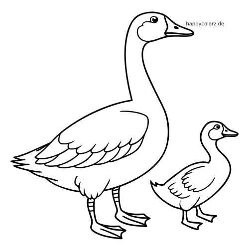 Schlichte schwarz-weiße Umrisszeichnung einer großen Gans und einer kleineren Ente, die nebeneinander stehen.