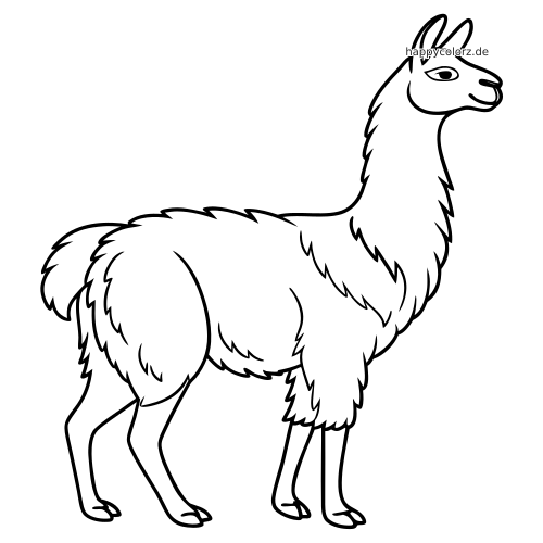 Einfache schwarz-weiße Umrisszeichnung eines stehenden Lamas in Seitenansicht mit flauschigem Fell und klaren, kräftigen Linien.