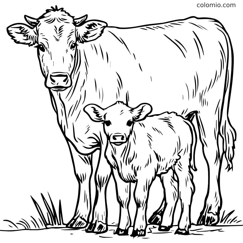 Eine Strichzeichnung von einer Kuh und ihrem Kalb, die zusammen in einem grasbewachsenen Bereich stehen, ideal zum Ausmalen.