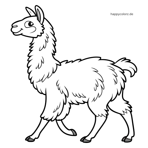 Ein schwarz-weißes Ausmalbild mit einem laufenden Lama in Seitenansicht, mit flauschigem Fell und freundlichem Gesicht.
