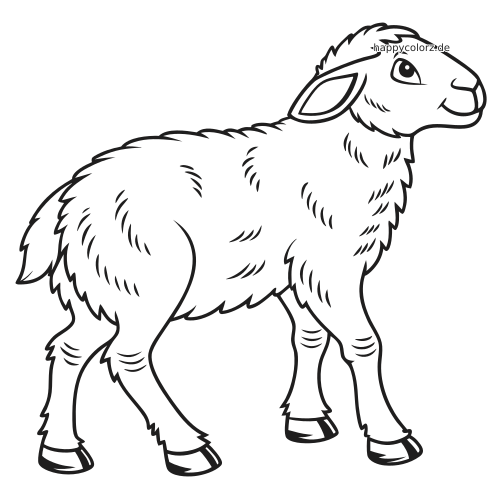 Ein schwarzes Schaf in naher Seitenansicht mit flauschiger Wolle und klaren Umrisslinien vor schlichtem Hintergrund.