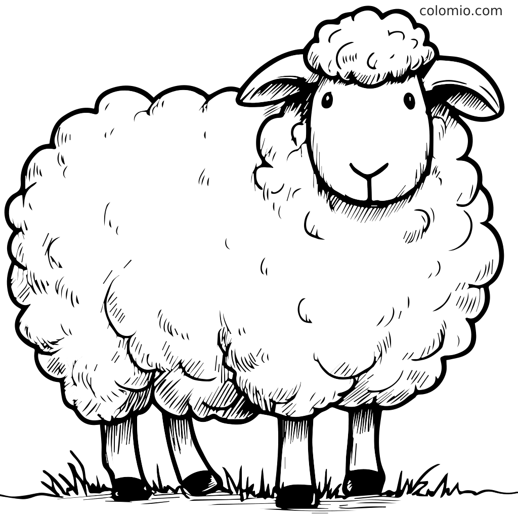 Ein Cartoon-Schaf mit flauschiger Wolle, das auf Gras steht, perfekt zum Ausmalen.