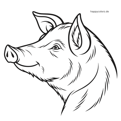 Schwarz-weißes, detailliertes Porträt eines Schweinekopfs im Seitenprofil mit spitzen Ohren, Schnauze und feinen Linien.