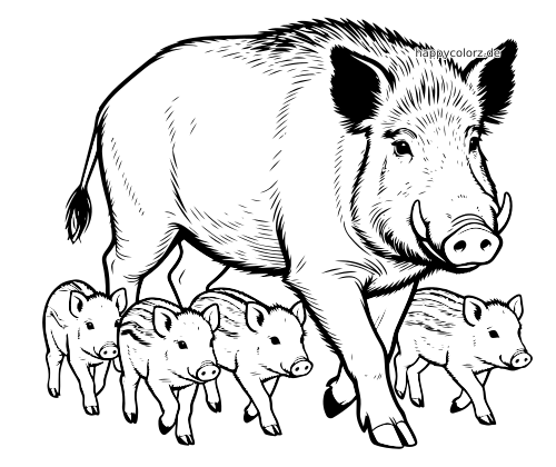 Ein detailreich gezeichnetes Wildschwein mit gebogenen Hauern läuft nach vorn, umgeben von vier kleinen Frischlingen.
