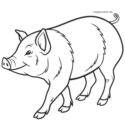 Ein schlichtes schwarz-weißes Hängebauchschwein in Seitenansicht beim Laufen mit klaren Konturen und rundlichem Körper.