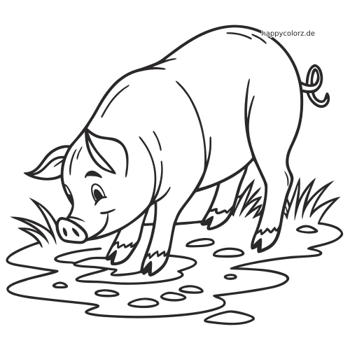 Ein einfach gezeichnetes Schwein steht seitlich in einer Schlammpfütze mit Grasbüscheln und hält den Kopf nach unten.