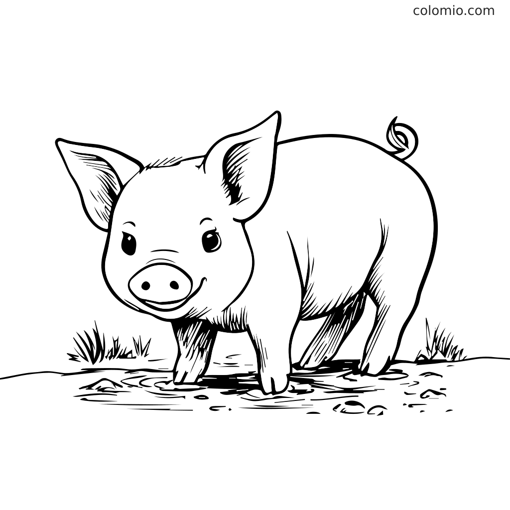 Ein niedliches Ferkel steht in einer Pfütze, bereit zum Ausmalen. Perfekt für Kinderaktivitäten.