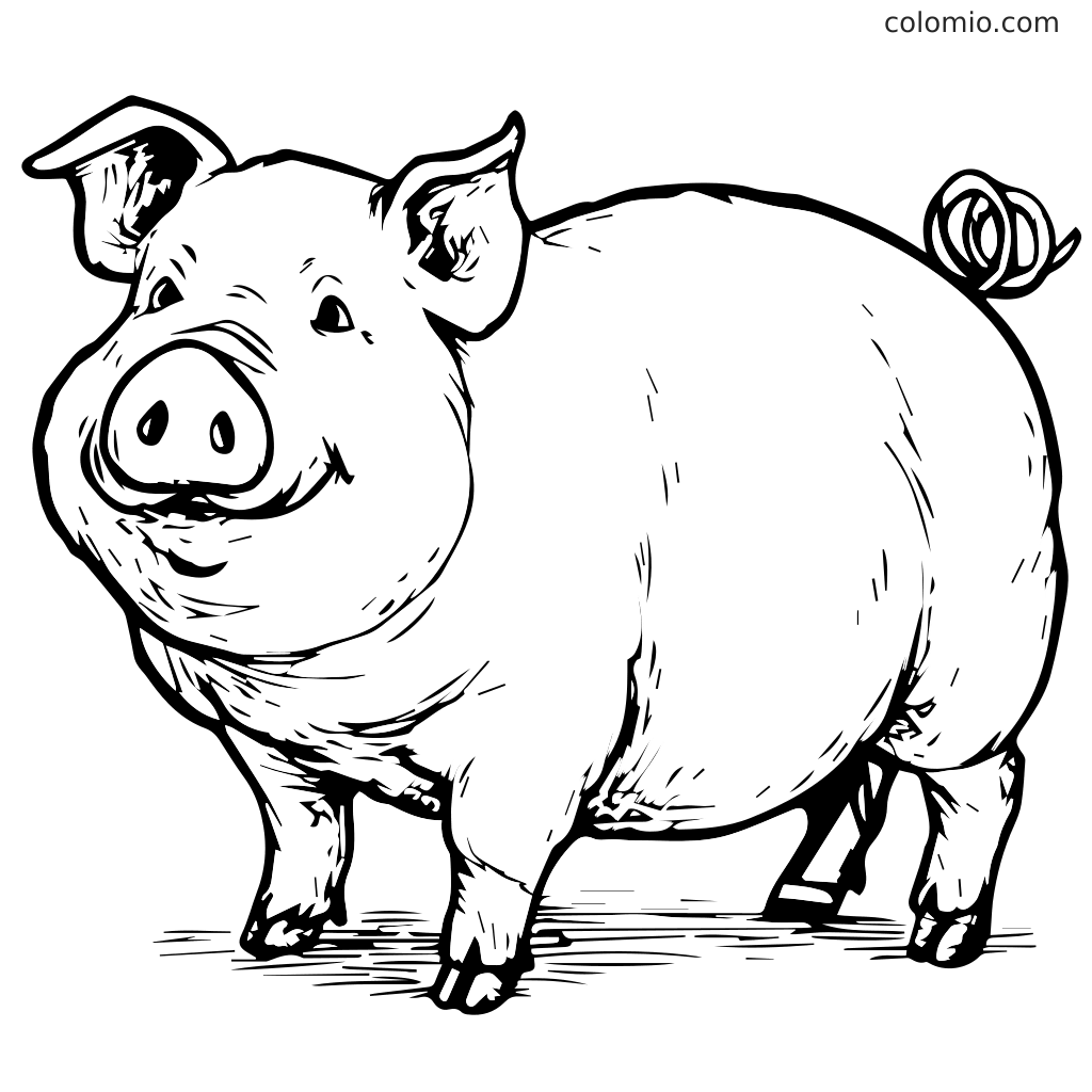 Ein niedliches Cartoon-Schwein, das glücklich steht, perfekt für Malaktivitäten von Kindern.
